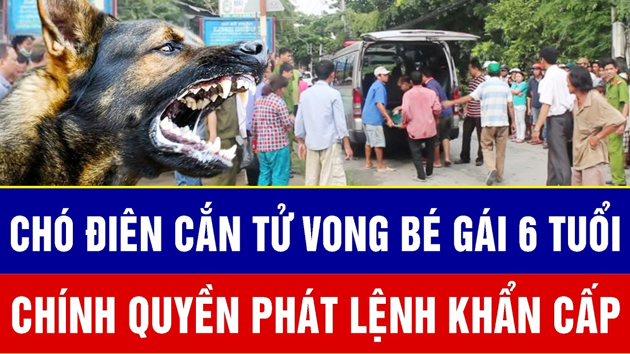 Điểm nóng tối 11/3: Kinh hoàng chó điên cắn tử vong bé gái 6 tuổi, chính quyền phát lệnh khẩn cấp