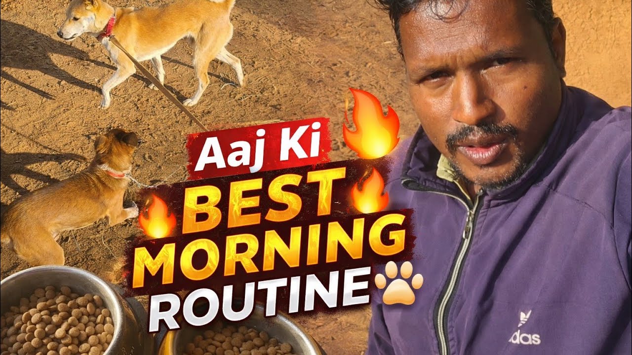 Veera & Meera Ka Morning Walk & Breakfast 🔥 | Healthy Life Ka Real Secret!