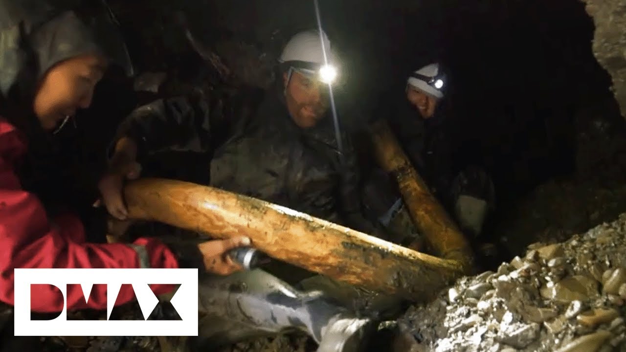 Josh Investigates If Siberia’s 