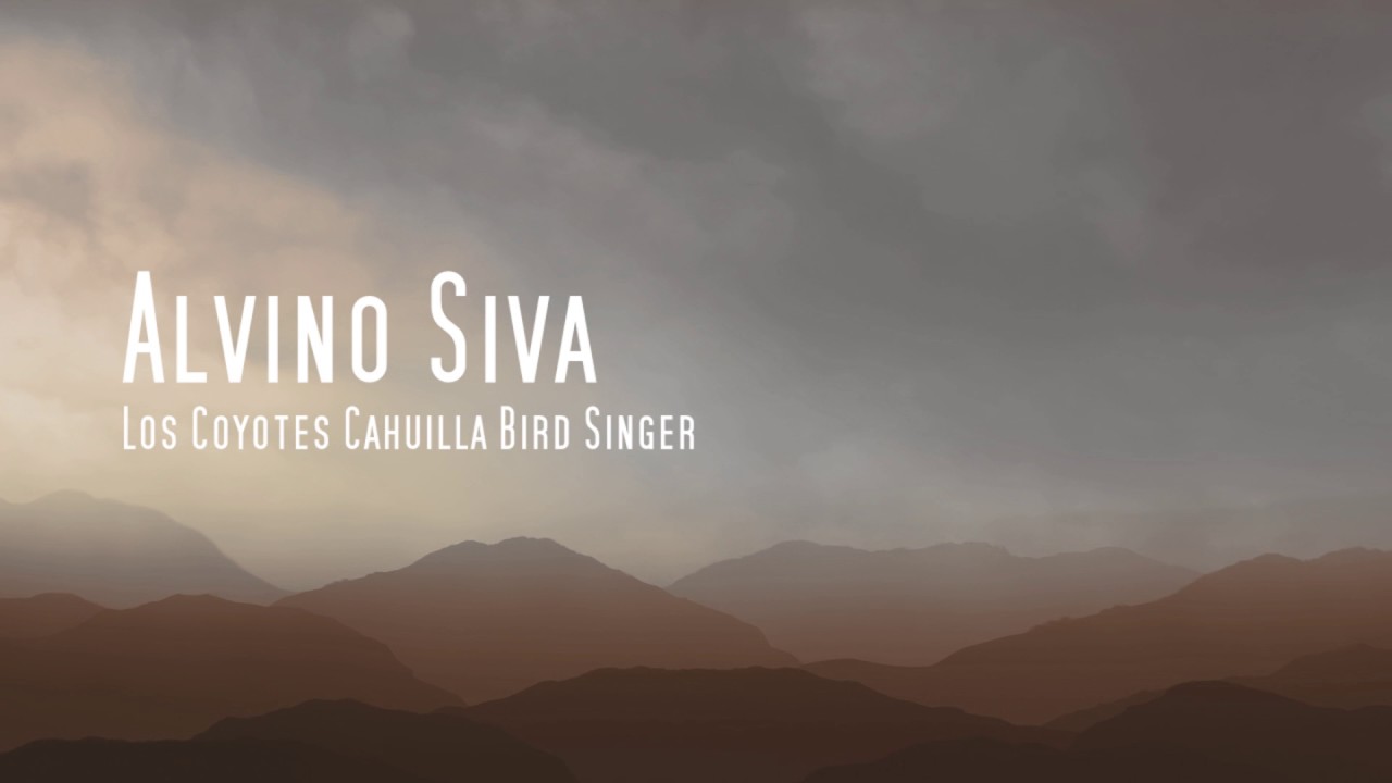 Alvino Siva Los Coyotes Indian Reservation Bird Singer , We Are Birds