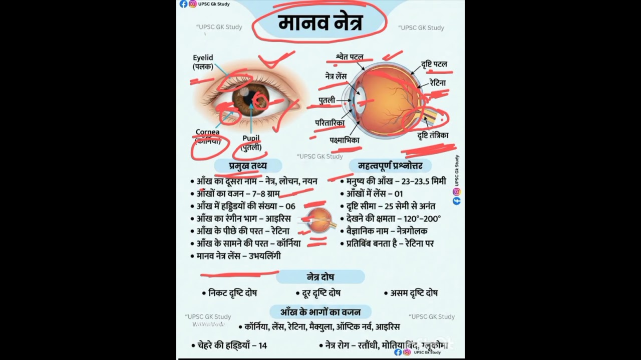 मानव नेत्र | Human Eye Complete GK | Eye Diagram in Hindi | UPSC SSC Railway