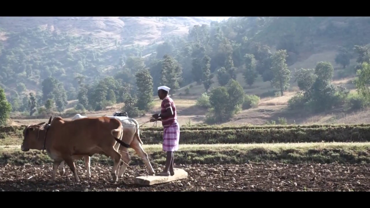 Through ahwa dang | Sony a6000 Cinematic | Salher Mulher fort | Don hill station
