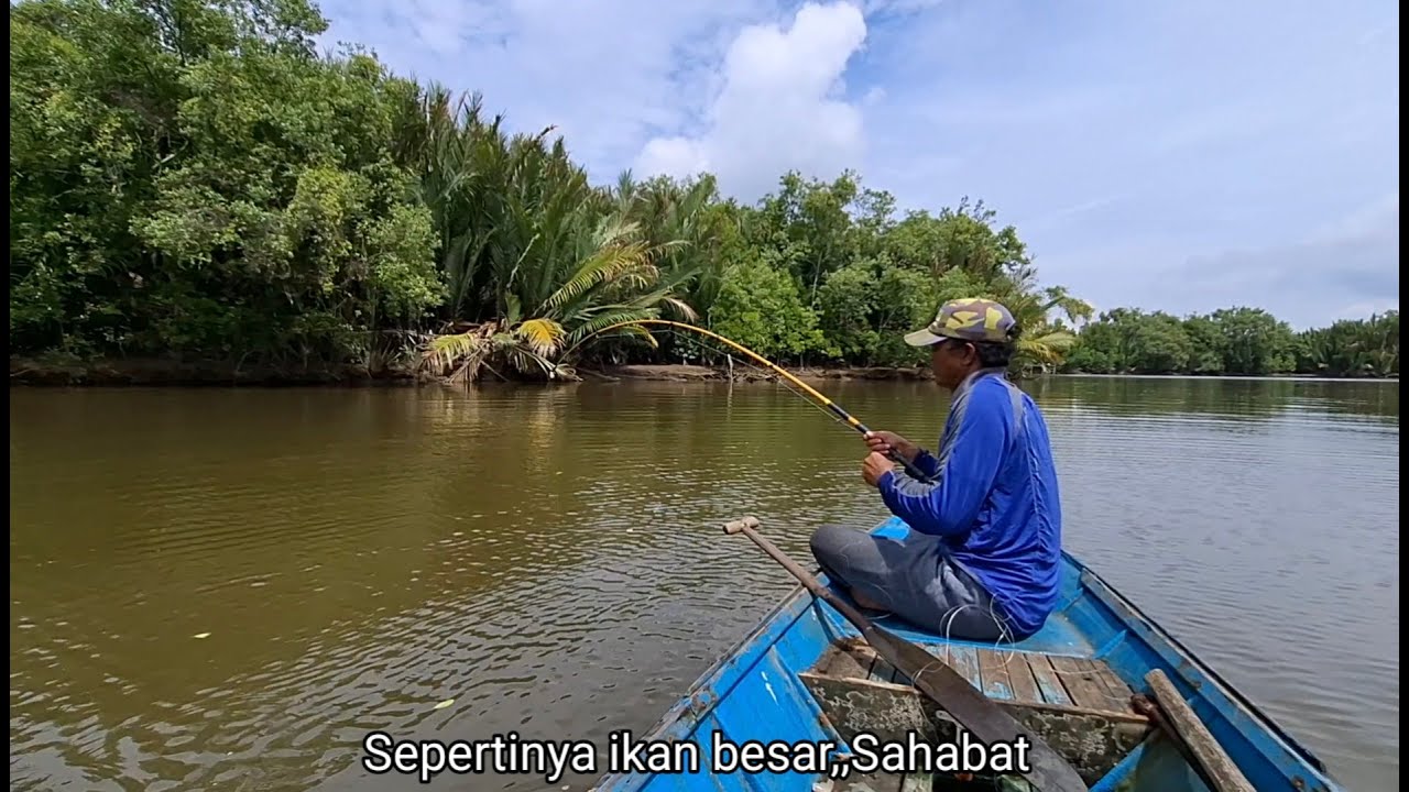 Banyak sambaran spot pohon tumbang hanyut ditengah sungai