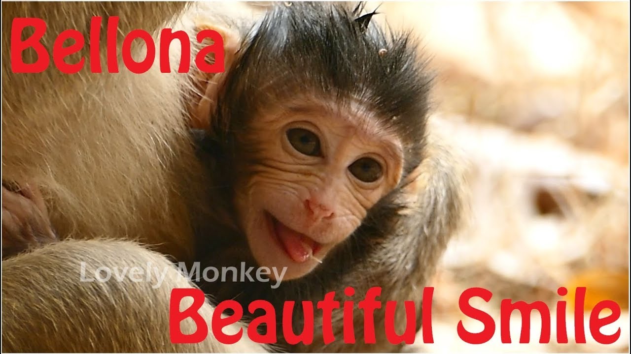 Amazing This Year Belley Surprise Viewer With Good Job Take Best Care Baby Bellona With Milk Cover.