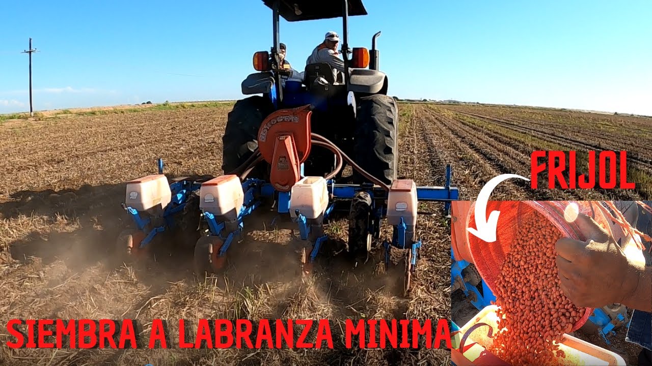Sembrando frijol a labranza mínima / Villa Juárez, Sonora