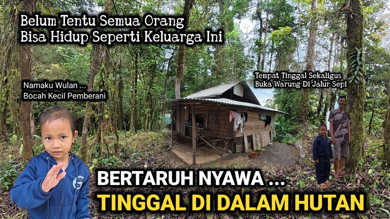 MUSTAHIL PERCAYA!! BOCAH PEMBERANI YANG NEKAD TINGGAL DI RUMAH GUBUK TENGAH HUTAN