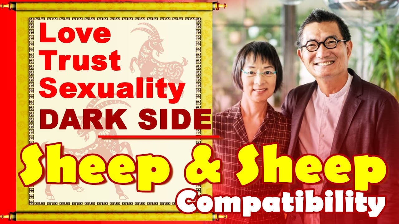 Sheep and Sheep Compatibility in Love, Life, Trust, Intimacy | Sheep and Sheep Zodiac Compatibility