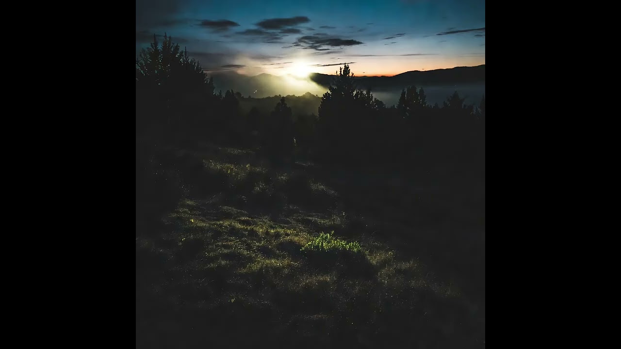 Light between the fingers