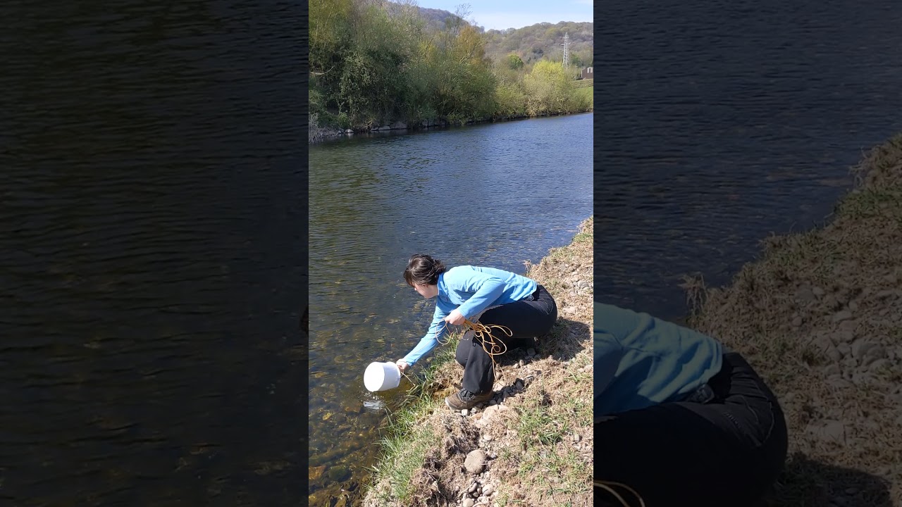 Collecting your sample