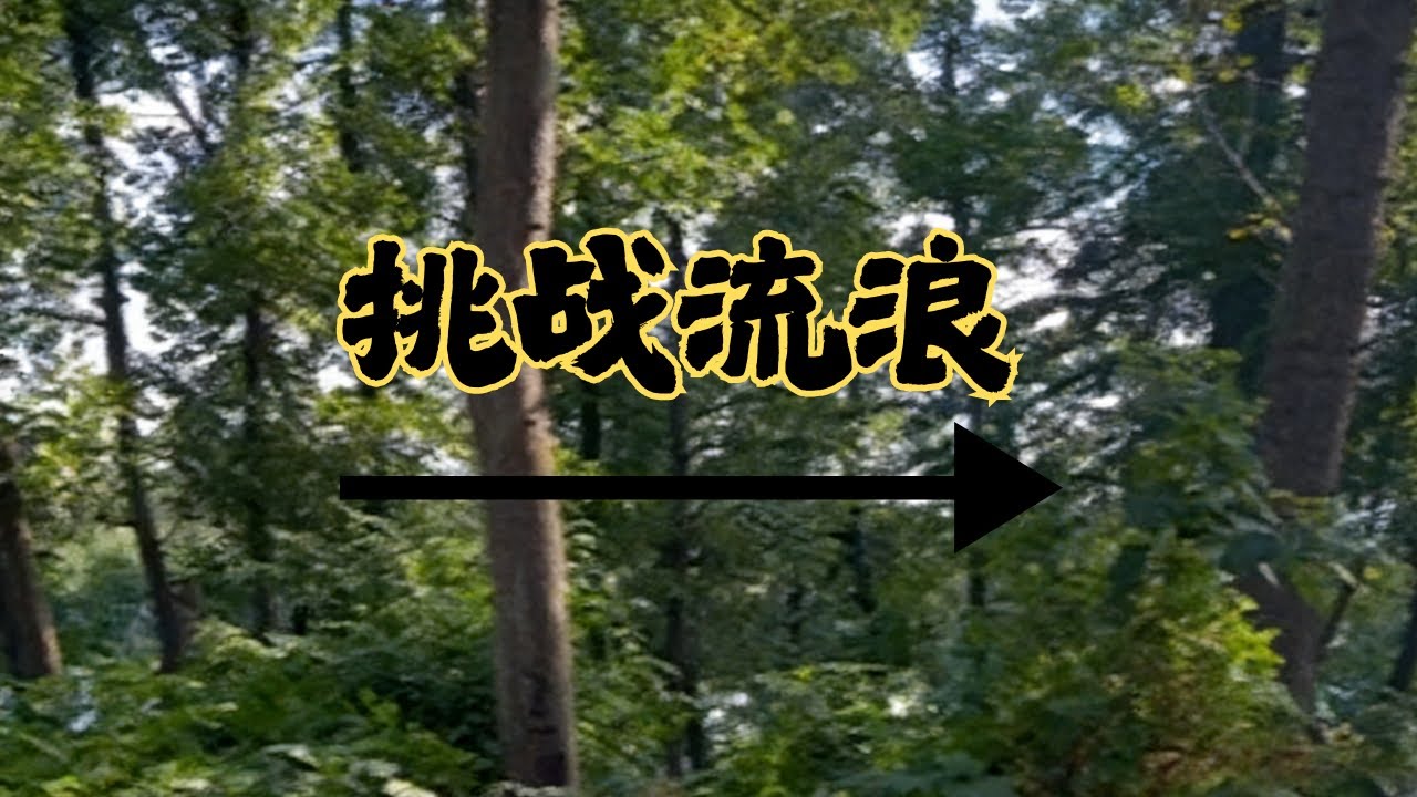 挑战户外流浪 100 天！深入荒野直面生存考验，户外历练全程上线 #户外 #流浪 #野外生存