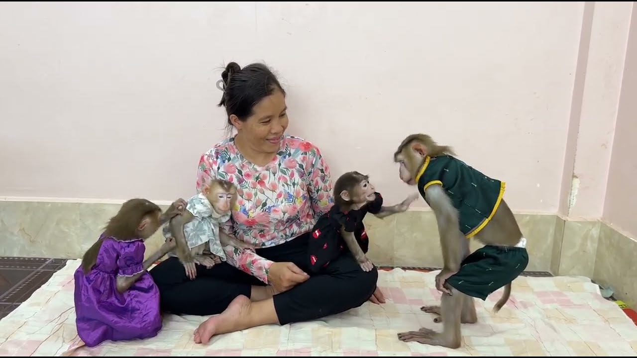 Sister Kobie Very Sweet Come To Softly Comfort Brother Sovan While Seeing Boy Feel Very Upseeeet,