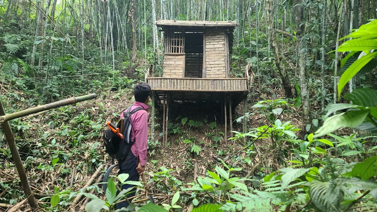 Repairing abandoned house in the forest for many years.