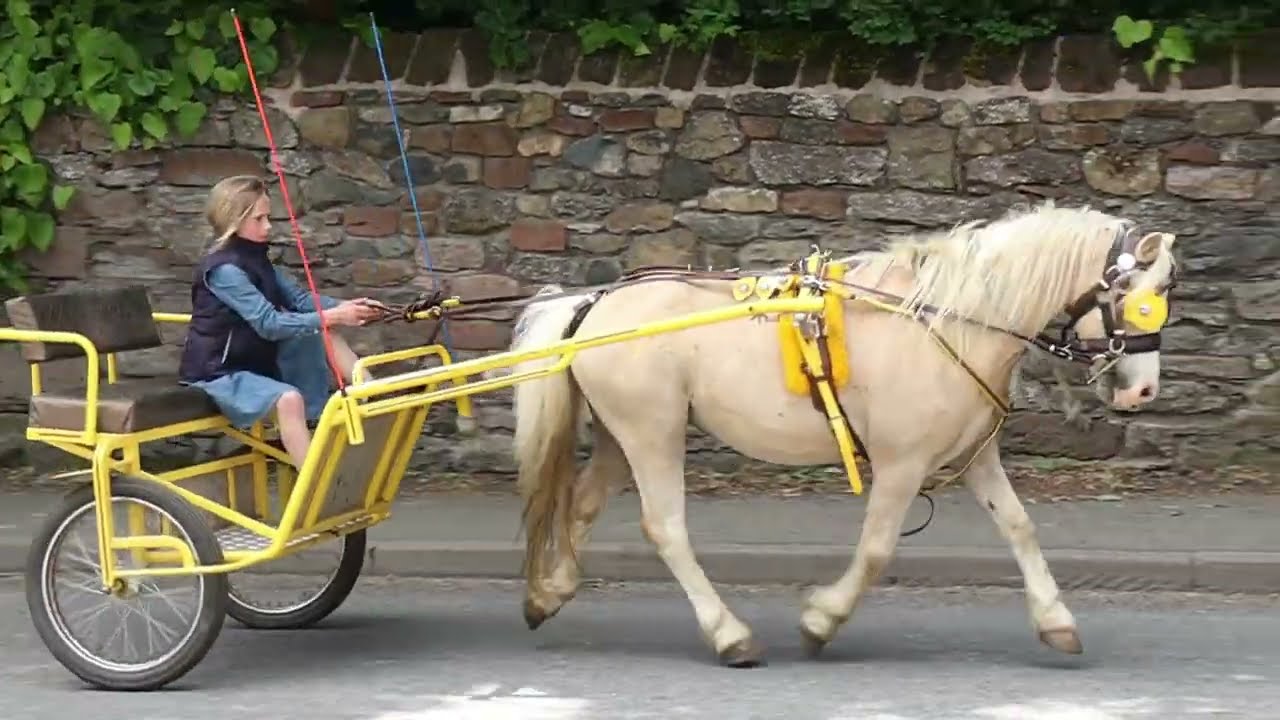 Incredible  Appleby Horse Fair Horseback Riders on Carriage Cart