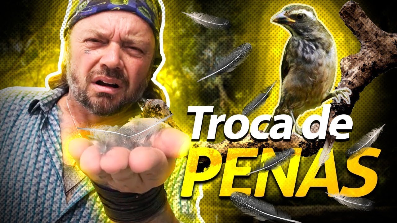 TRINCA FERRO PERDENDO AS PENAS?! | RICHARD RASMUSSEN