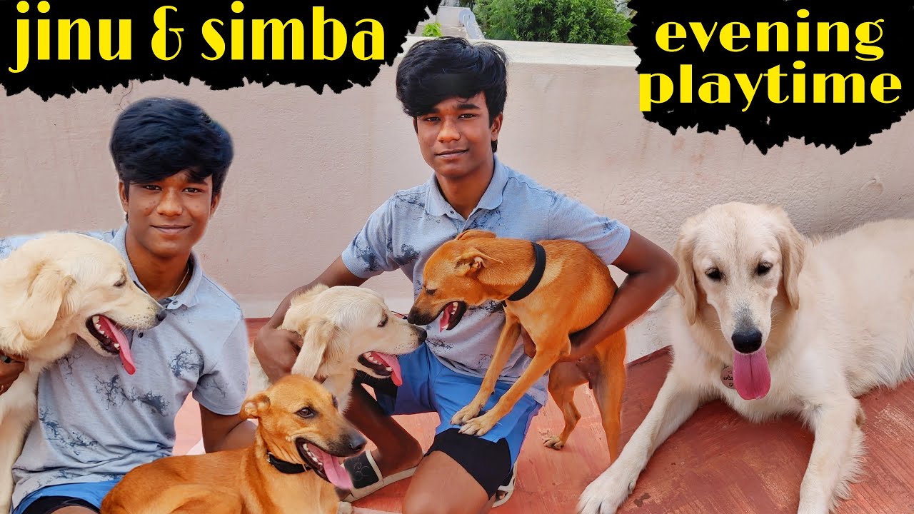 JINU & SIMBA evening playtime!! | fun vlog