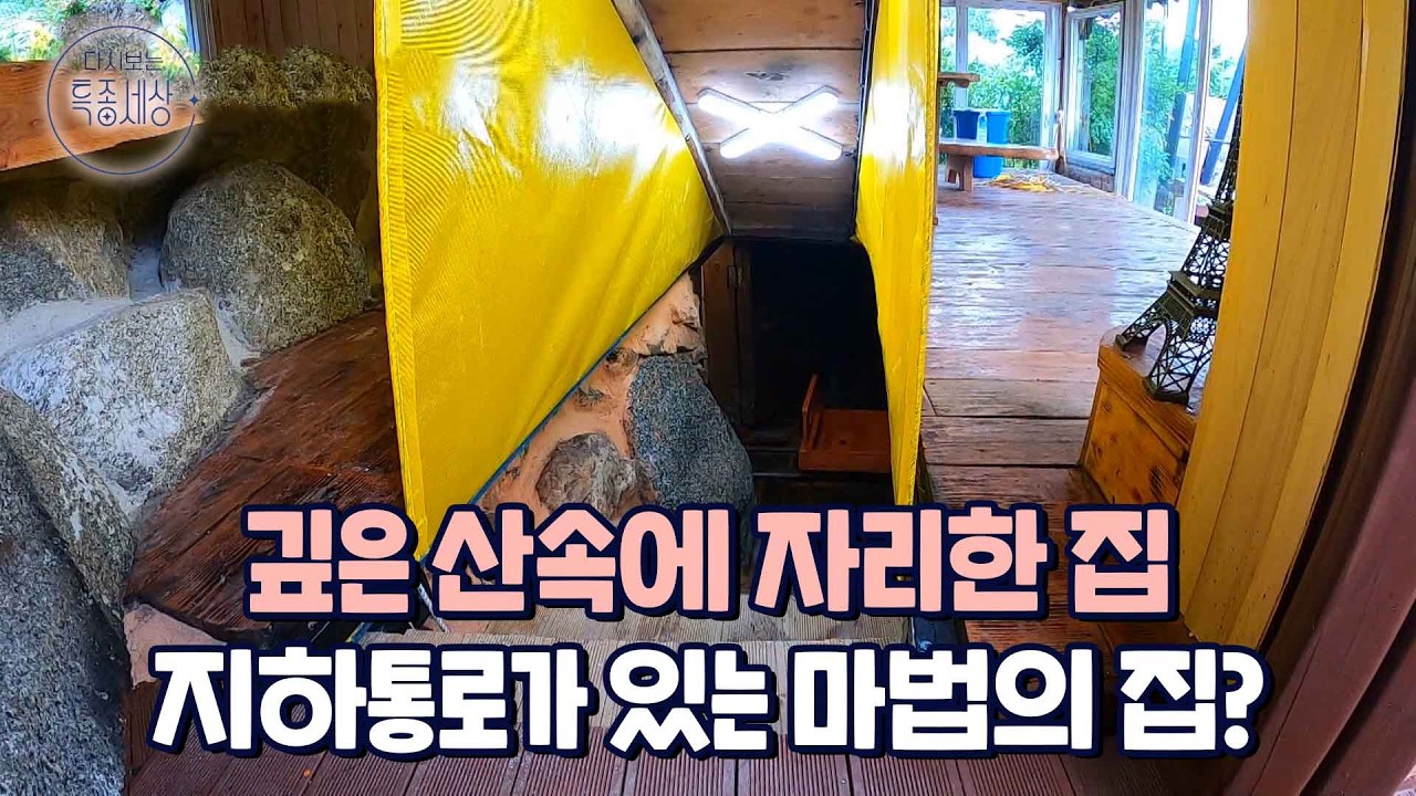 깊은 산속에 자리 잡은 집, 지하 통로는 덤! 뛰어난 아이디어로 살아 움직이는 집을 직접 만든 남자!｜다시보는 특종세상 487회