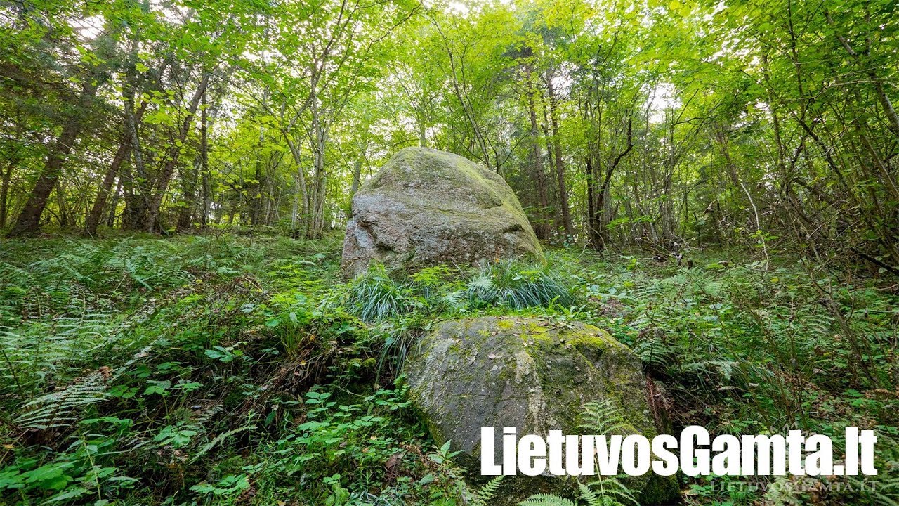 Akmenys Mokas ir Mokiukas