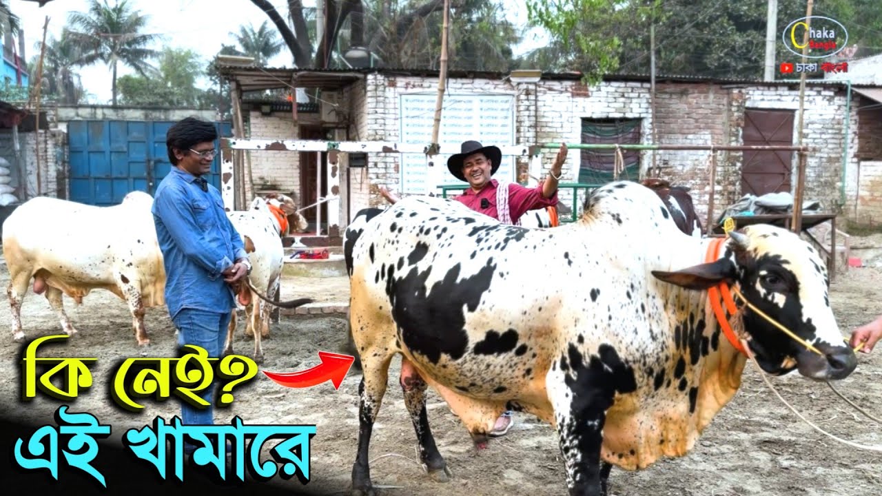 ২০২৬ কোরবানির 
