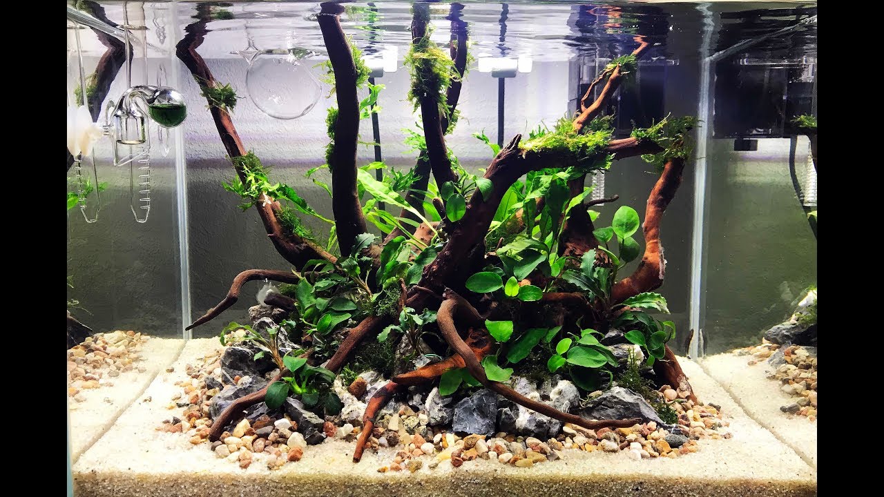 Setup Nature Aquarium Step-by-step AQUASCAPE 25.04.2018
