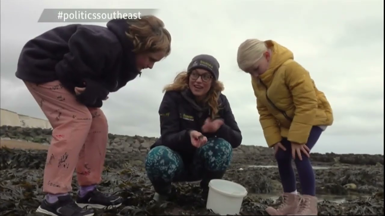 Rockpooling in Rottingdean