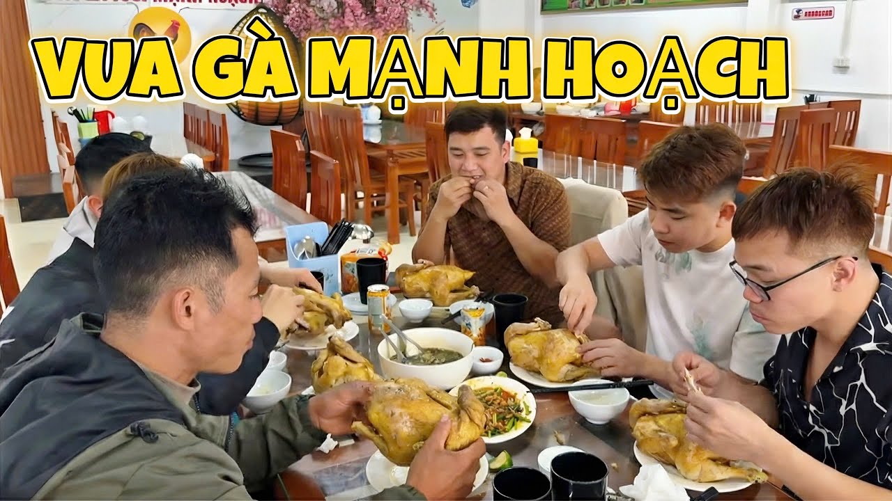 PHC/ Ai Sẽ Là Vua Gà Mạnh Hoạch #phc #teamphd.