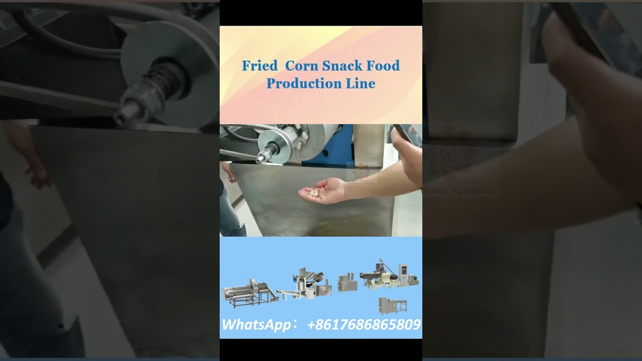 Automatic Expanded Fry Snack Production Line Corn chips Making Fried Corn Snacks Machine | Chenyang