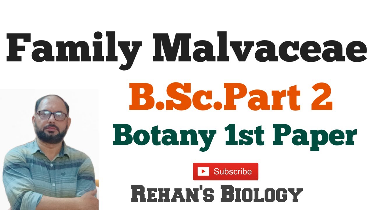 #Family Malvaceae #Rehan's Biology #कुल मालवेसी  #B.Sc. Part 2 Botany 1st Paper  #China Rose Family