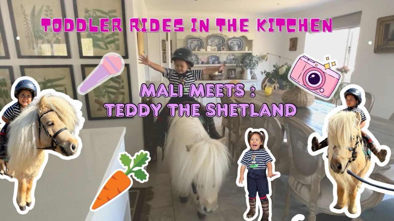 Toddler rides pony in the house! @teddytheshetland2098