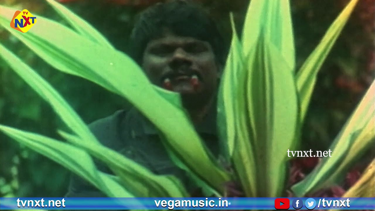 Manthira Rathiri Tamil Full Movie | Raja | Ranjan | Reeta | TVNXT Tamil