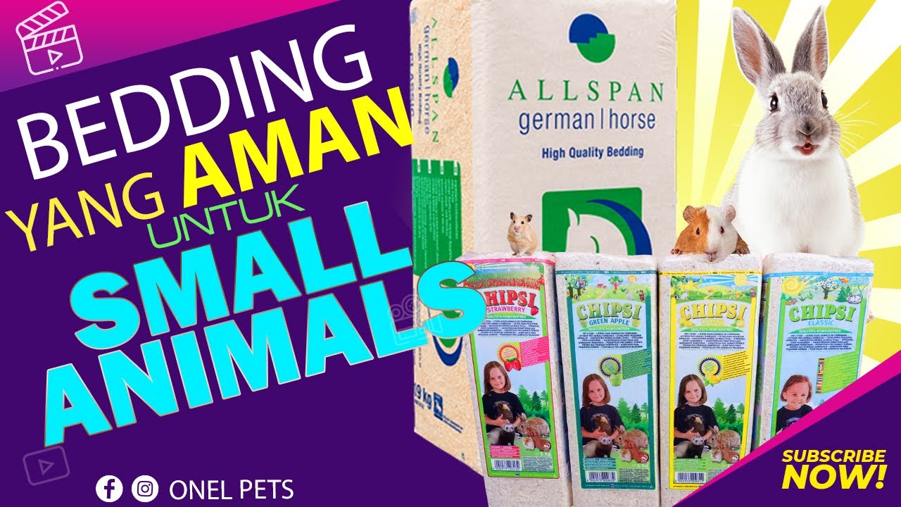 REVIEW SERBUK KAYU GERMAN HORSE & CHIPSI || BEDDING SMALL ANIMALS