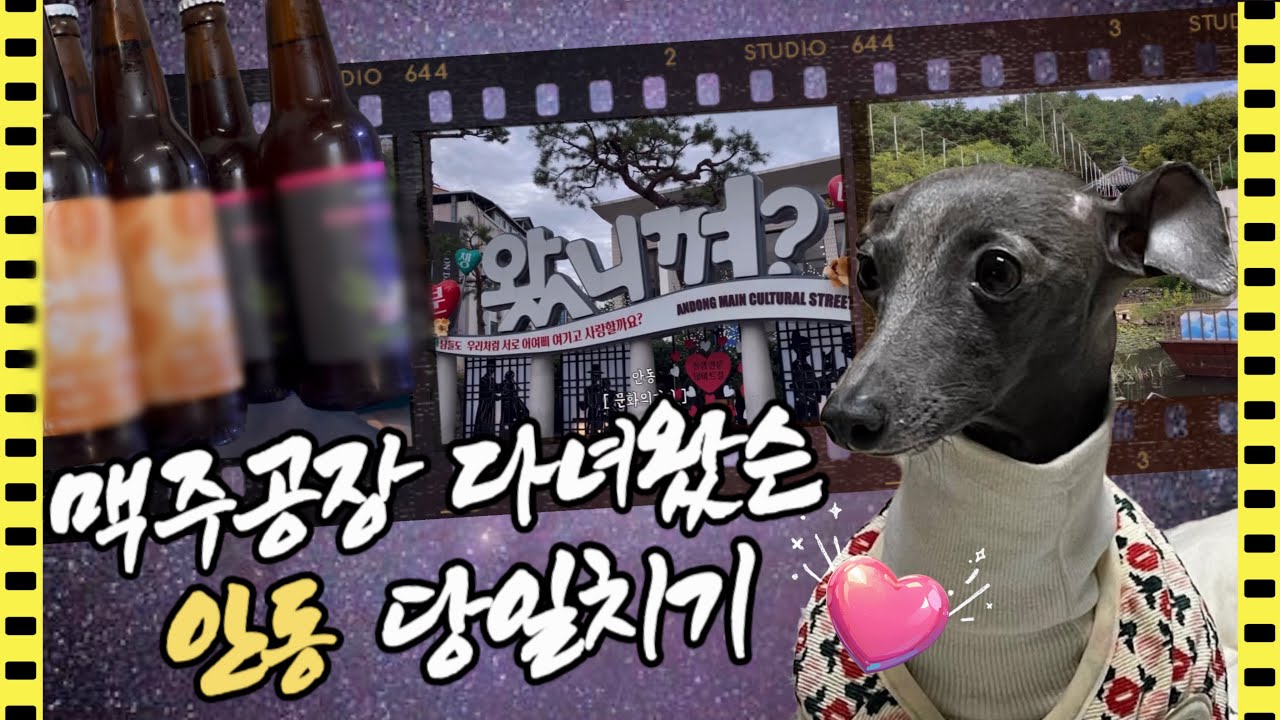 🍺 안동 왔니껴? = 오셨어요? 사투리! 애견동반 당일치기, 혼자여행