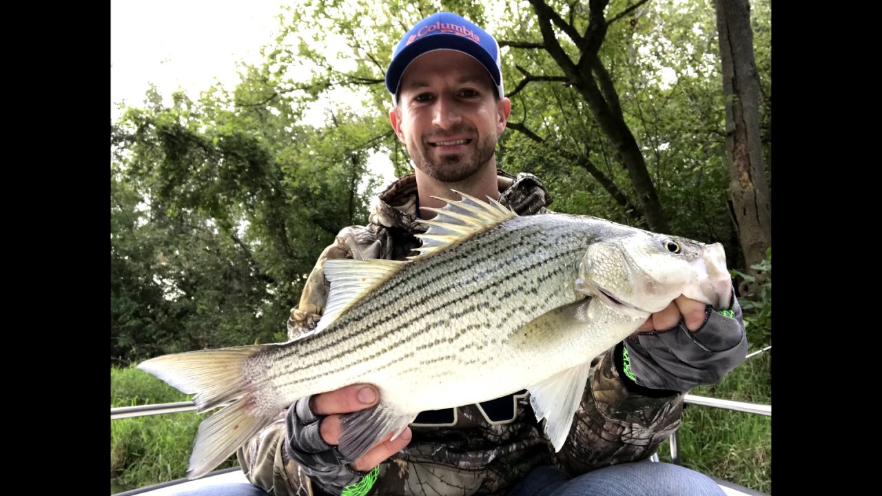 Catching Wiper Hybrids at Buckeye Lake