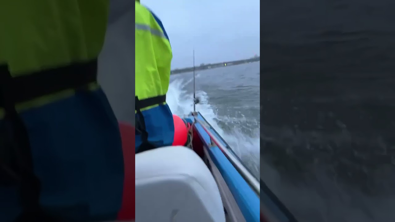 Wilson flyer 17 mariner 60hp 2 stroke