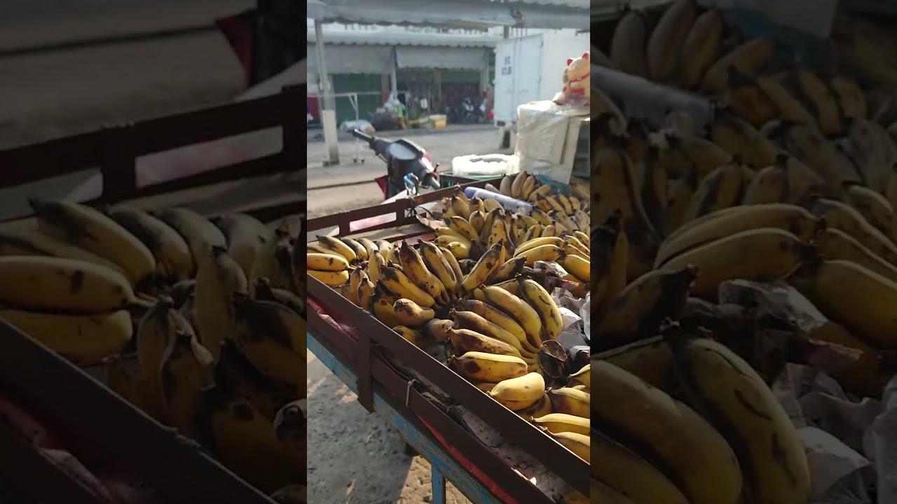 Buôn bán trái cây rau củ quả.