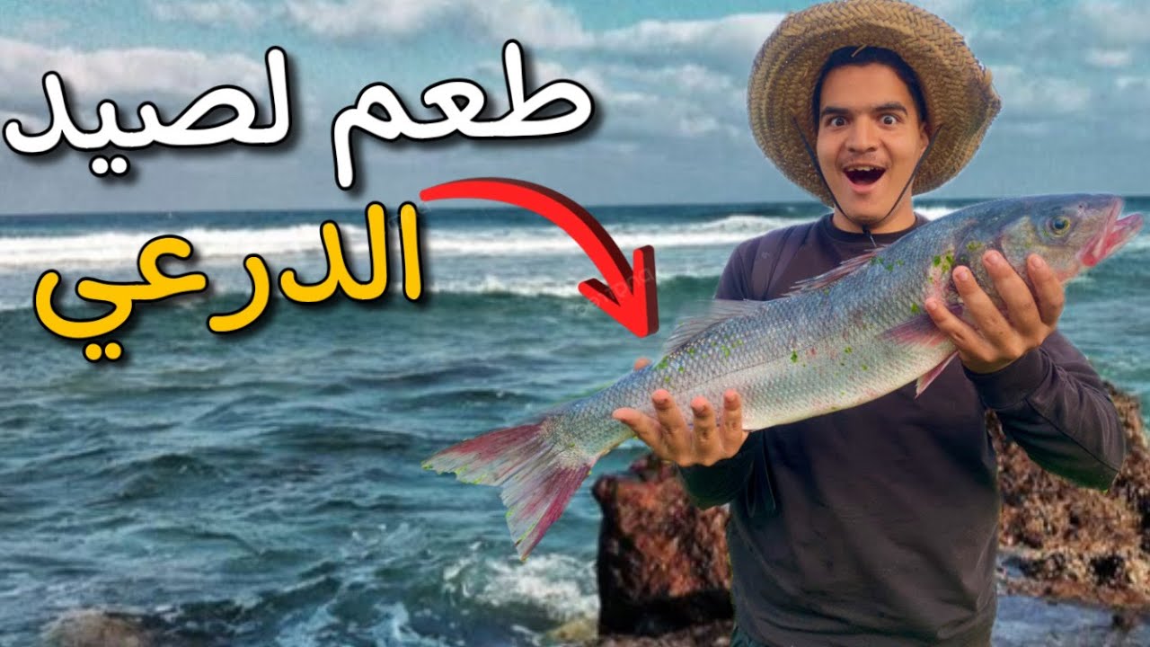 حياة البحرية : أجي تشوف طعم سحري و مضمون 100%😱لصيد سمك الدرعي 🐟لا تفوتك النتيجة ...😍