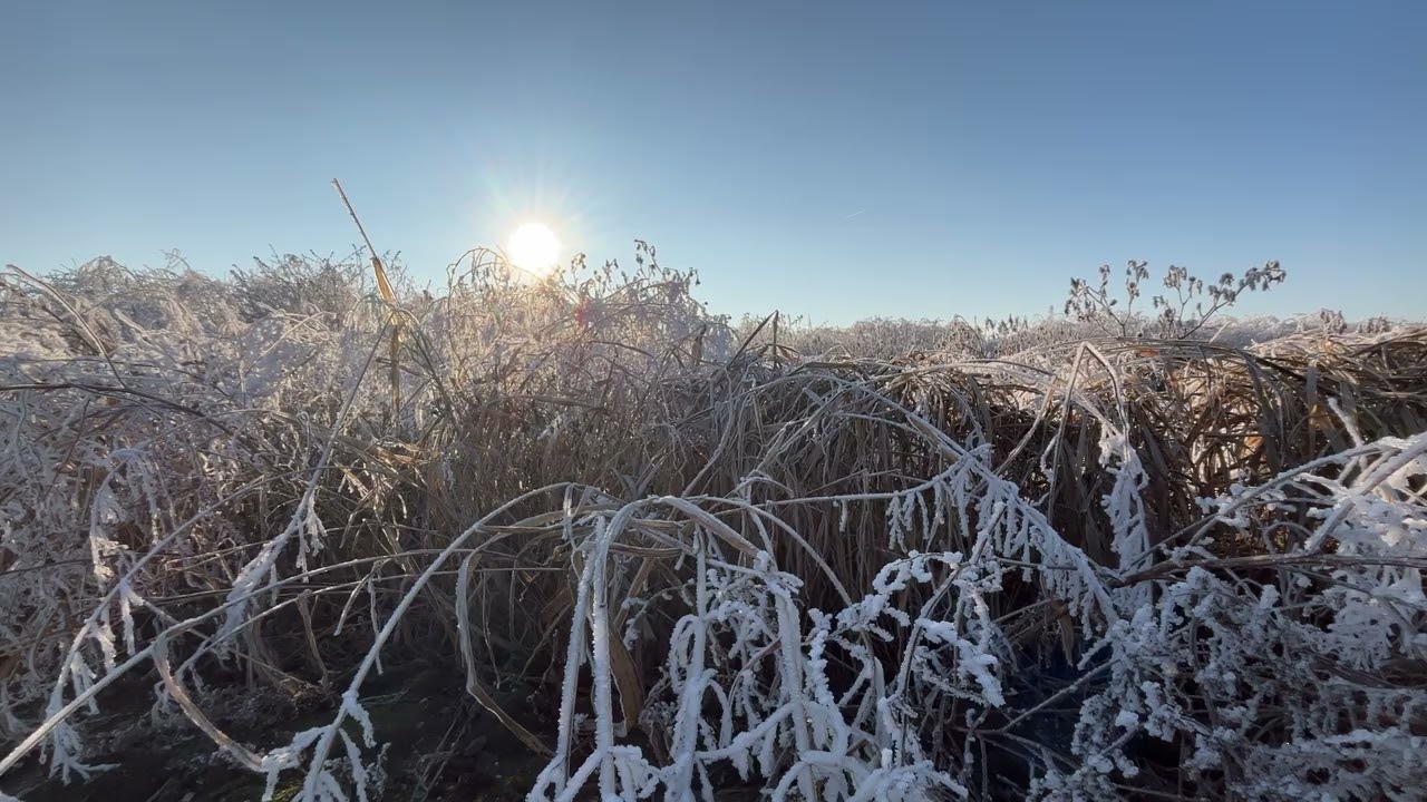 My Perfect Winter Morning: 10 Hours of Pure Bliss ❄️✨(4K UHD)