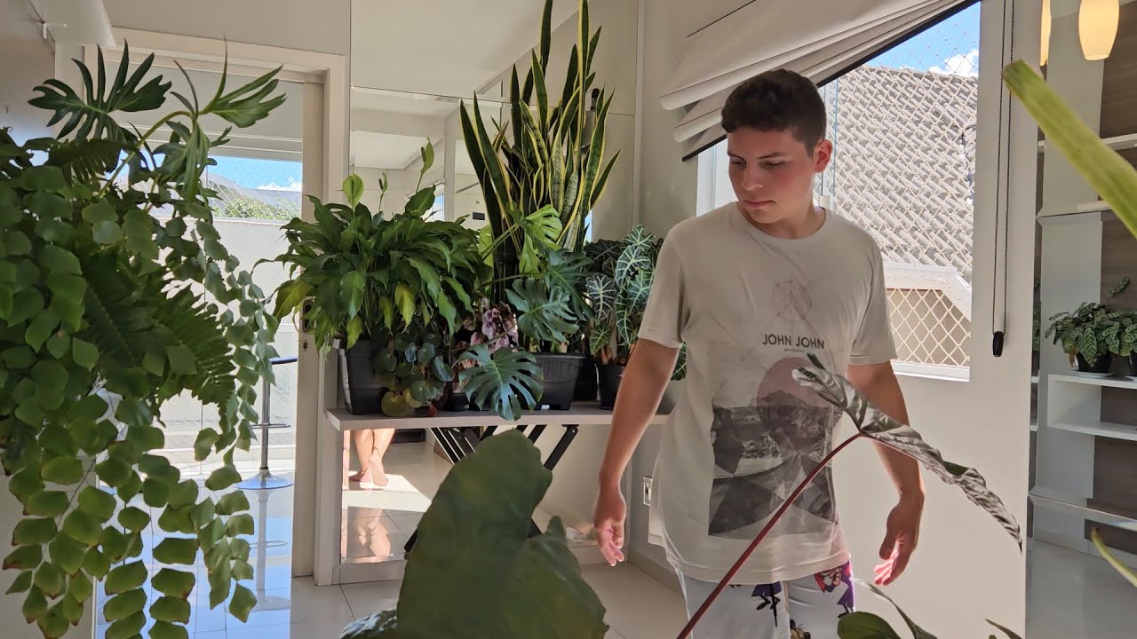Estamos de mudança, encontramos um apartamento!