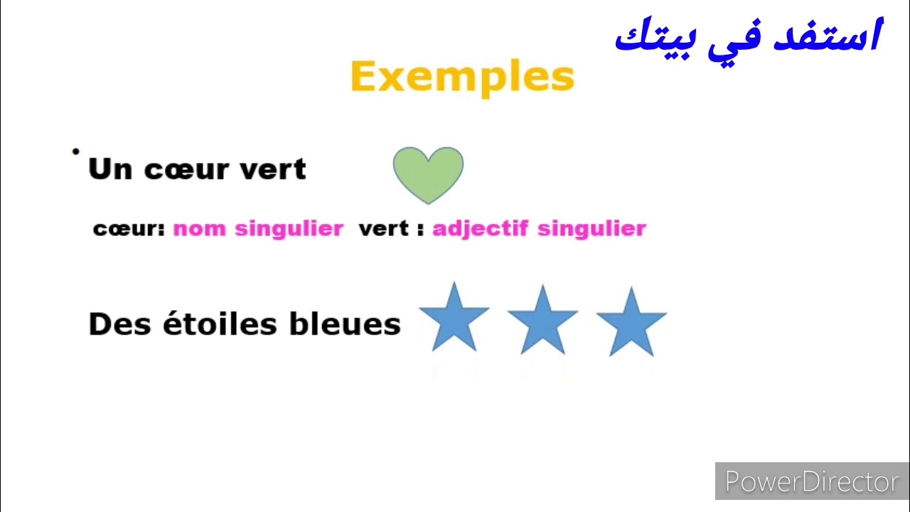 Grammaire: l'accord de l'adjectif qualificatif (singulier/pluriel) CE1