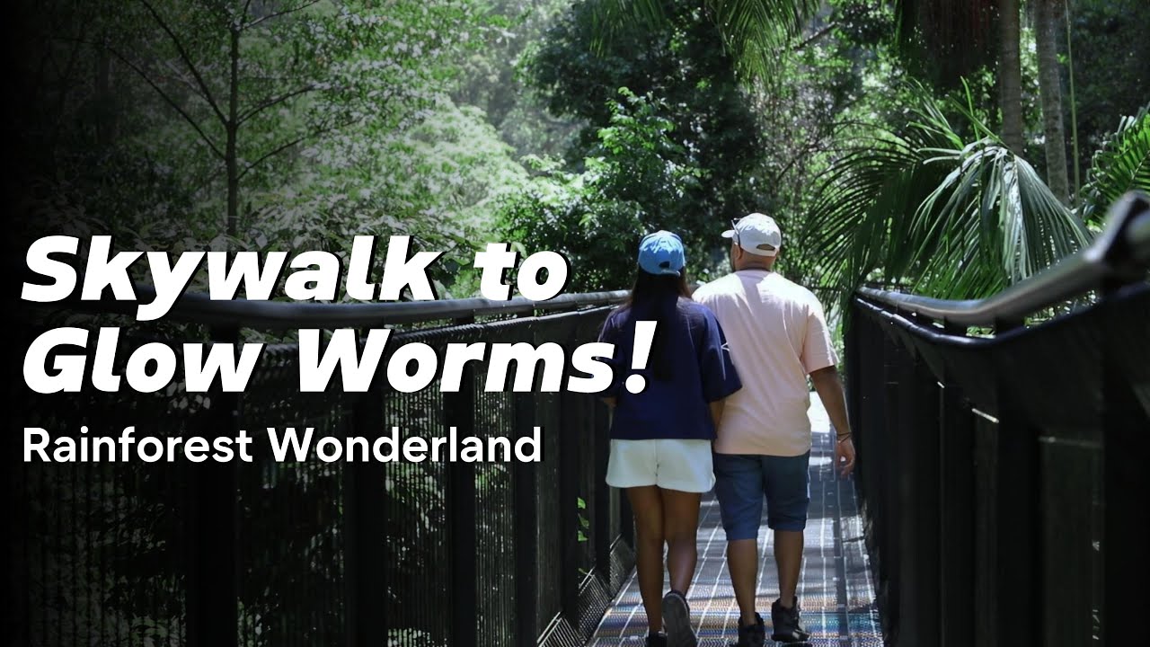 Exploring Tamborine Mountain — Rainforest Skywalk, Curtis Falls, Gallery Walk & Glow Worm Caves