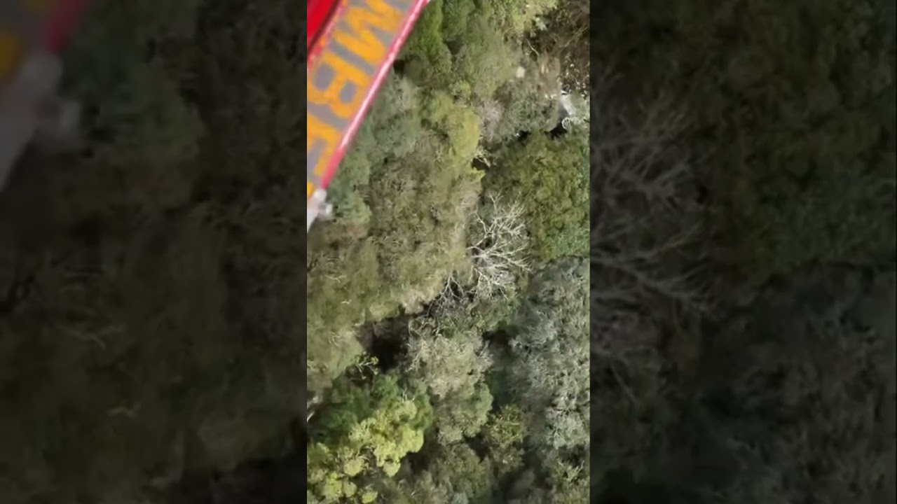 HELIC&Oacute;PTERO COM CANTOR RICK &Eacute; ENCONTRADO; N&Atilde;O H&Aacute; SOBREVIVENTES