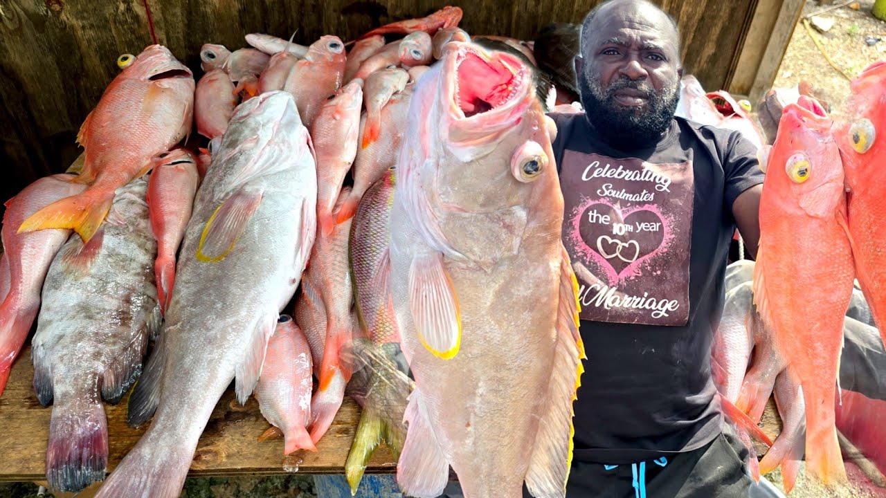 Day two before the cold front hit Jamaica on the Pedro Bank epic Deepwater fishing Adventures