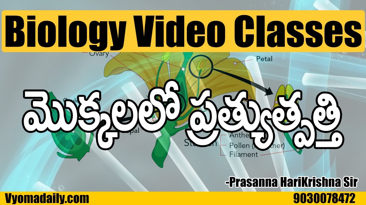 Plants Reproductive System - మొక్కలలో ప్రత్యుత్పత్తి | Biology Classes | Prasanna HariKrishna Sir