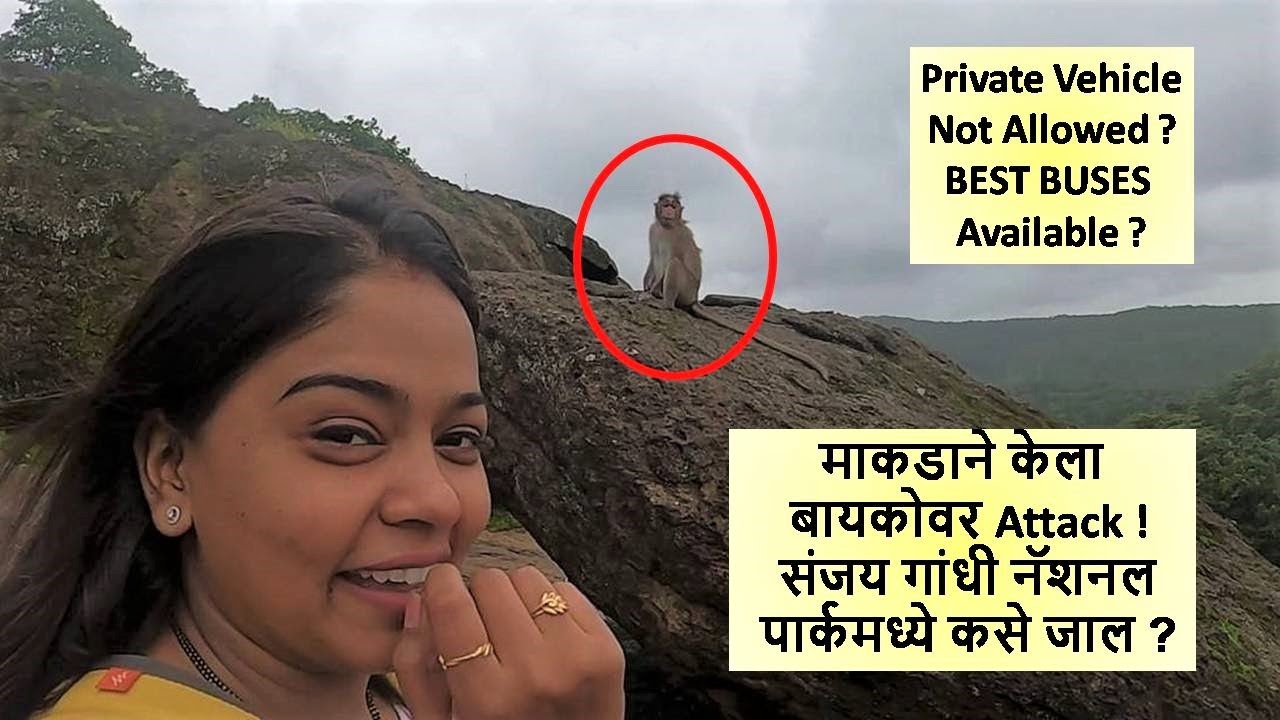 माकडाने केला बायकोवर Attack ! संजय गांधी नॅशनल पार्कमध्ये कसे जाल ? SGNP Sanjay Gandhi National Park
