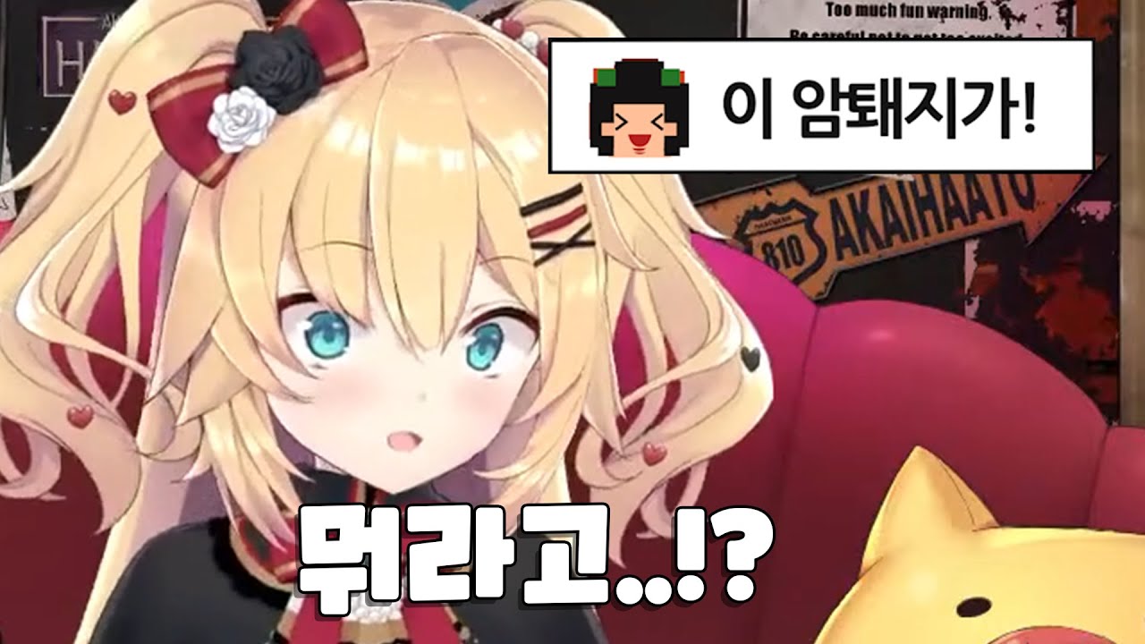 암퇘지란 말에 발끈한 하차마