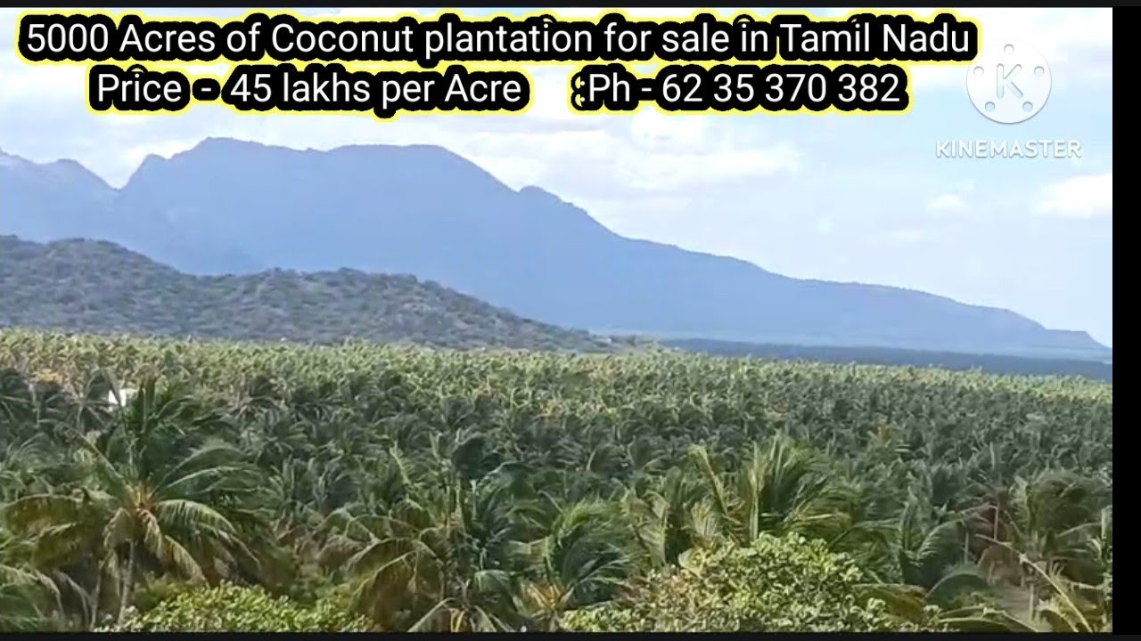 5000 Acres of Coconut plantation for sale in TamilNadu Price - 45 lakhs per Acre :Ph - 62 35 370 382