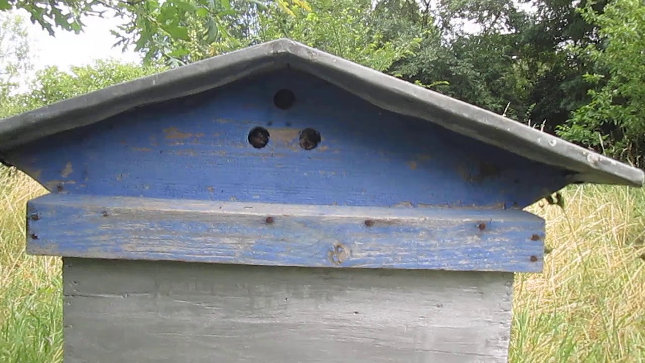 Quelle toiture pour les ruches???