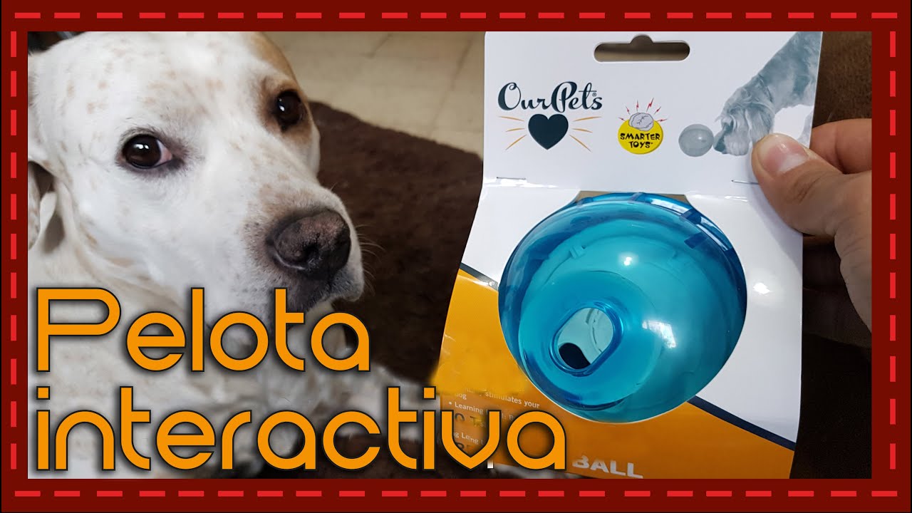 ¡Diversión con Recompensa! Reseñamos la Pelota Interactiva que Enloquece a los Perros