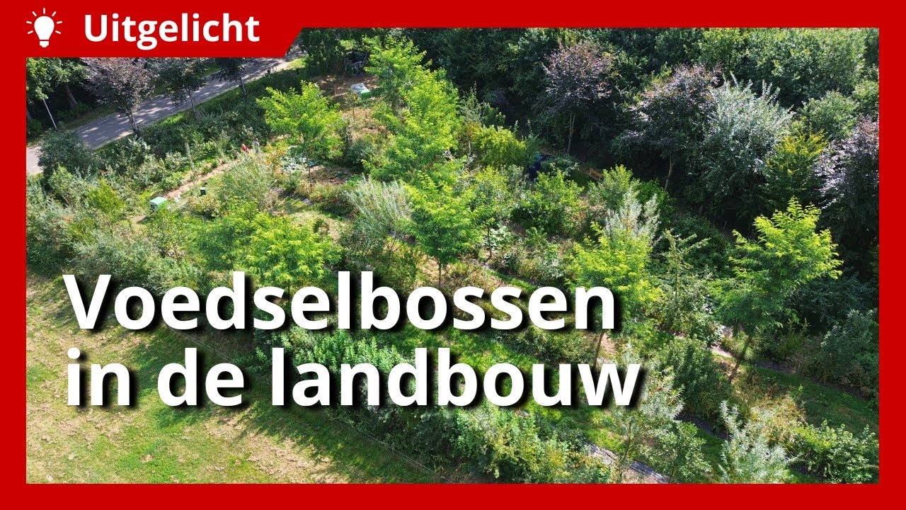 Uitgelicht | Hoe past een voedselbos binnen het boerenbedrijf?