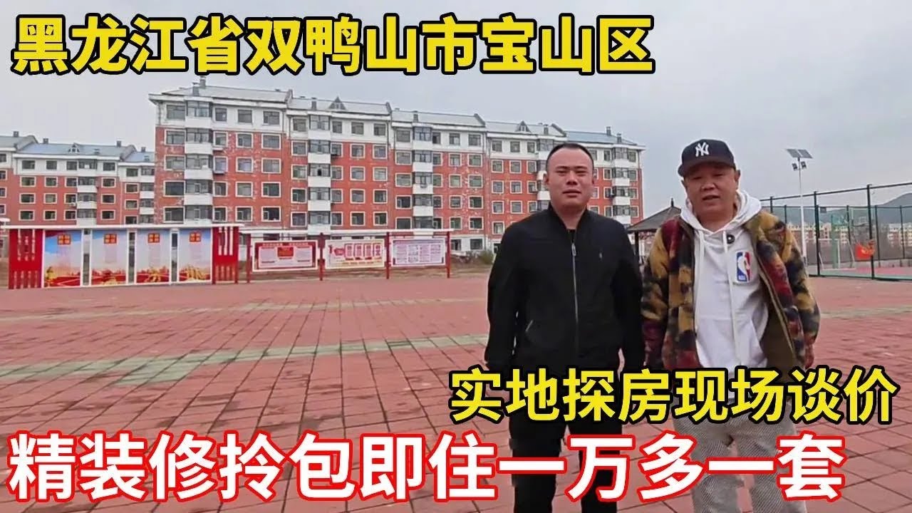 精装修拎包即住一万多一套，黑龙江省双鸭山市宝山区，鬼哥实地探房【鬼头看房】 #房价