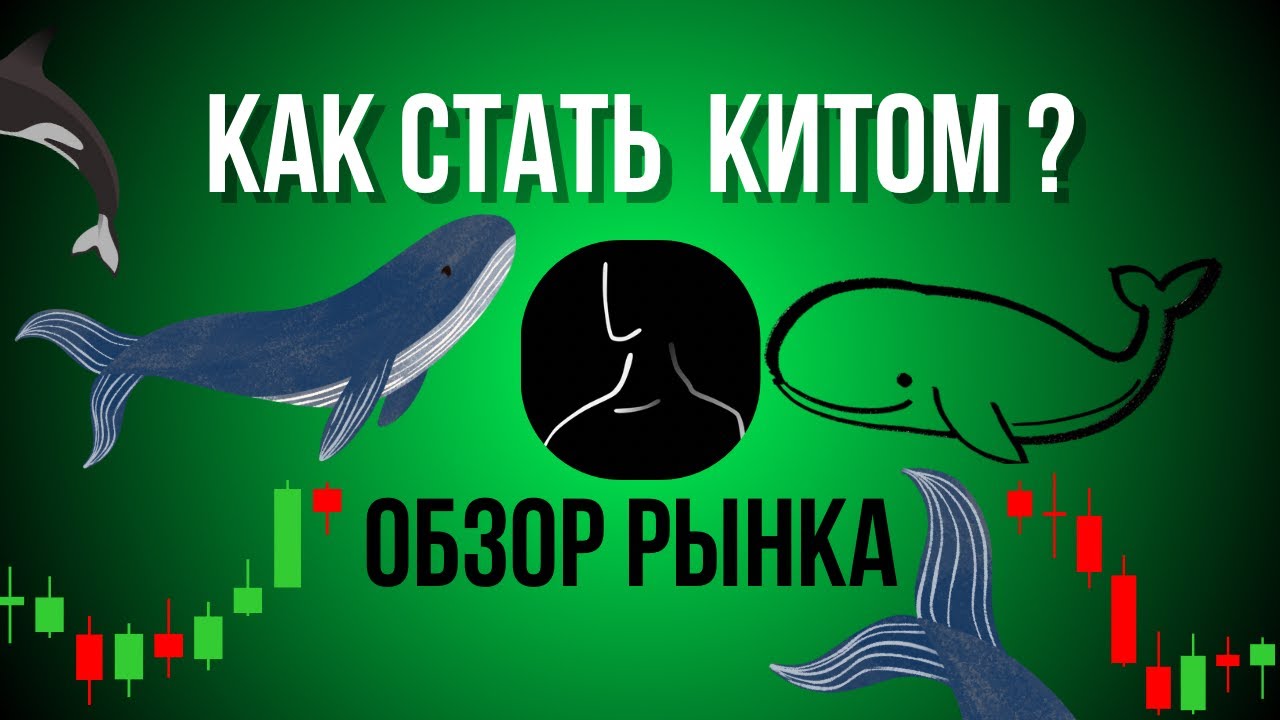 Сильное падение - Что делать в такой ситуации? 